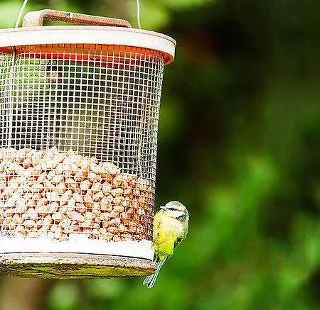 The Fat Lamb Country And Nature Reserve 4*